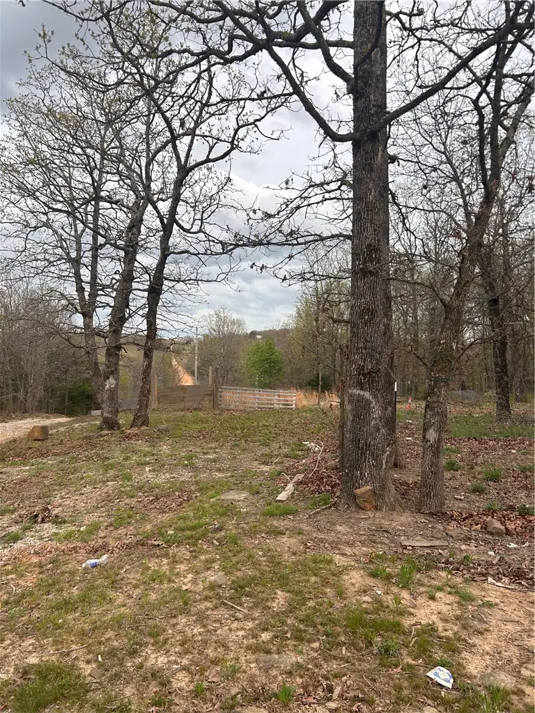 7689 Madison 2340 Lot 37, Huntsville, AR 72740 - #2