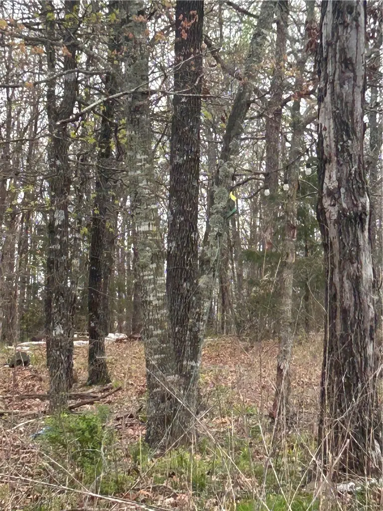 7689 Madison 2340 Lot 37, Huntsville, AR 72740 - #3