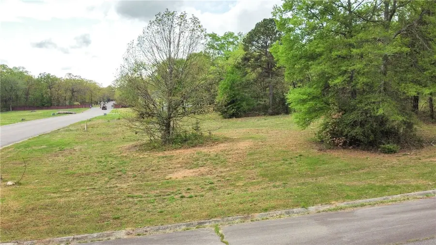 Lot 7 and Lot 10 Holloway Street, Morrilton, AR 72110 - #2