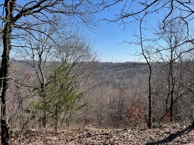 TBD Skylight Mountain, Canehill, AR 72717 - #1