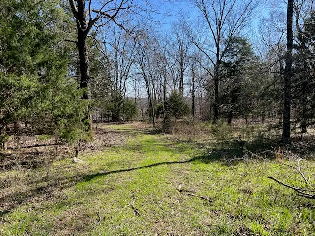 TBD Skylight Mountain, Canehill, AR 72717 - #2