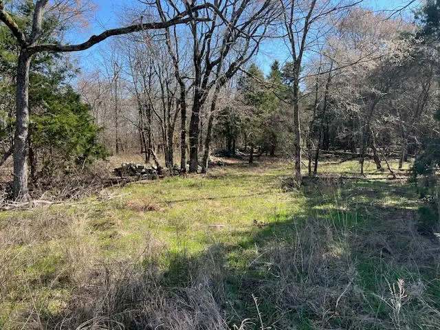 TBD Skylight Mountain, Canehill, AR 72717 - #3