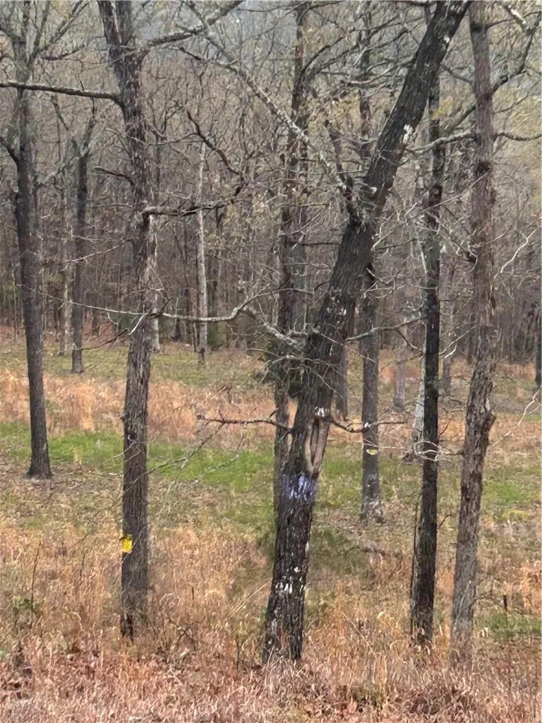 6563 Madison 2340, North Township, AR 72704 - #3