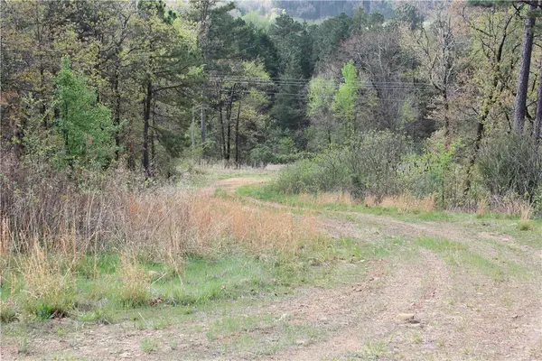 Address Withheld By Seller, Magazine, AR 72943