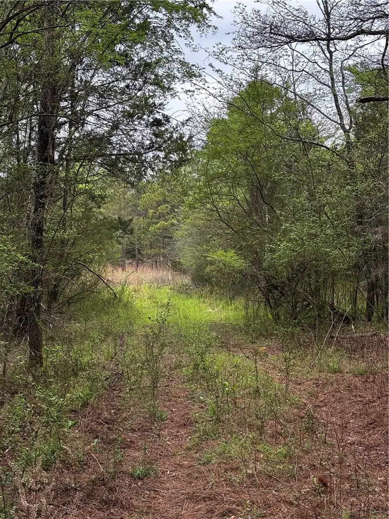 Tbd White Oak, Mulberry, AR 72947 - #2