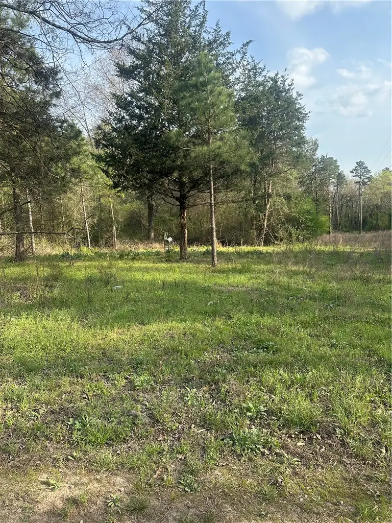 000 Cr 3161, Clarksville, AR 72830 - #1