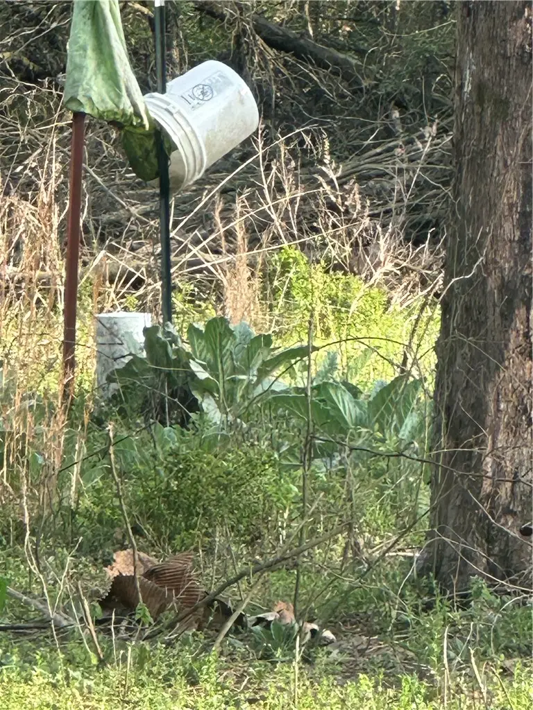 000 Cr 3161, Clarksville, AR 72830 - #2