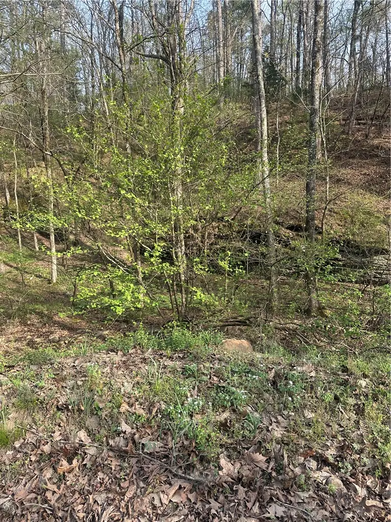 000 Cr 3161, Clarksville, AR 72830 - #3