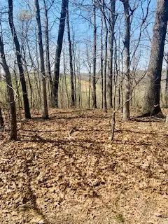 Whithorn Lane, Bella Vista, AR 72715 - #1