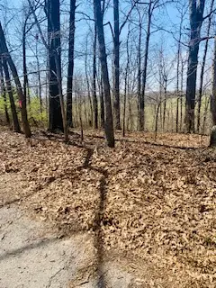 Whithorn Lane, Bella Vista, AR 72715 - #3