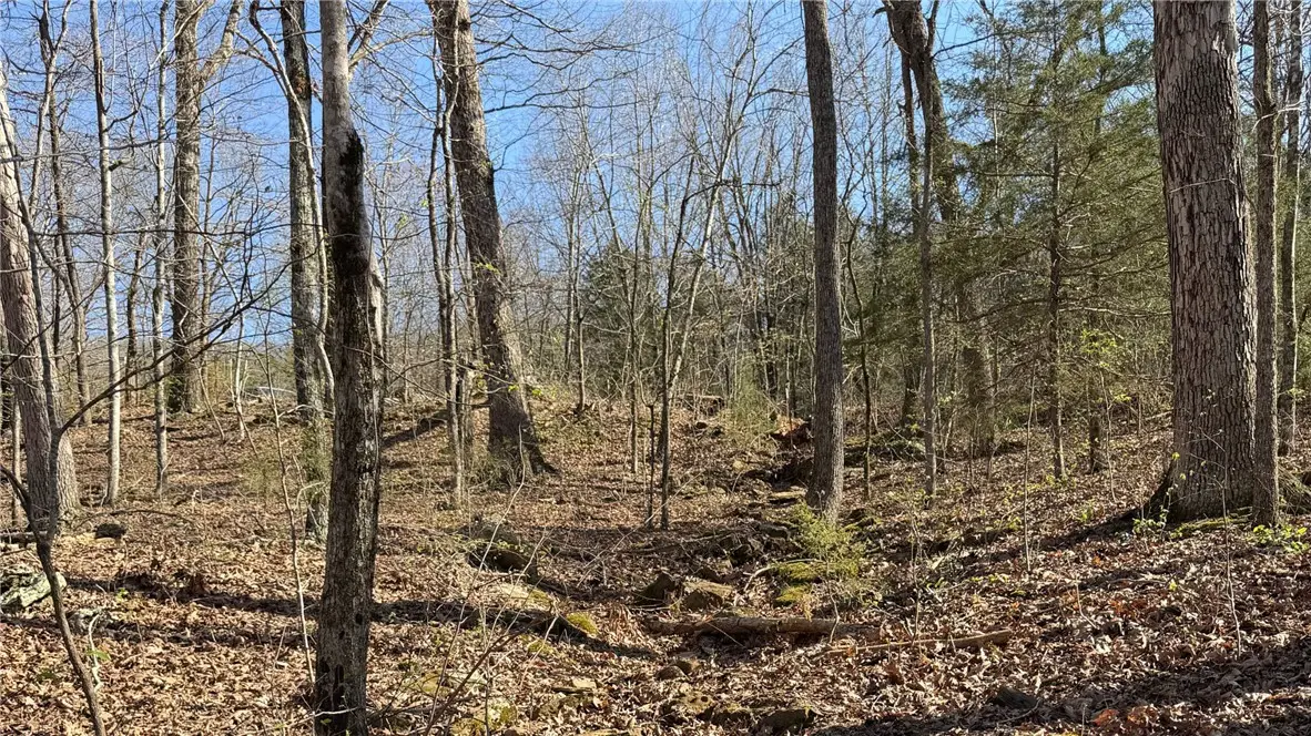 Madison Co 5430 Road, Elkins, AR 72727 - #1