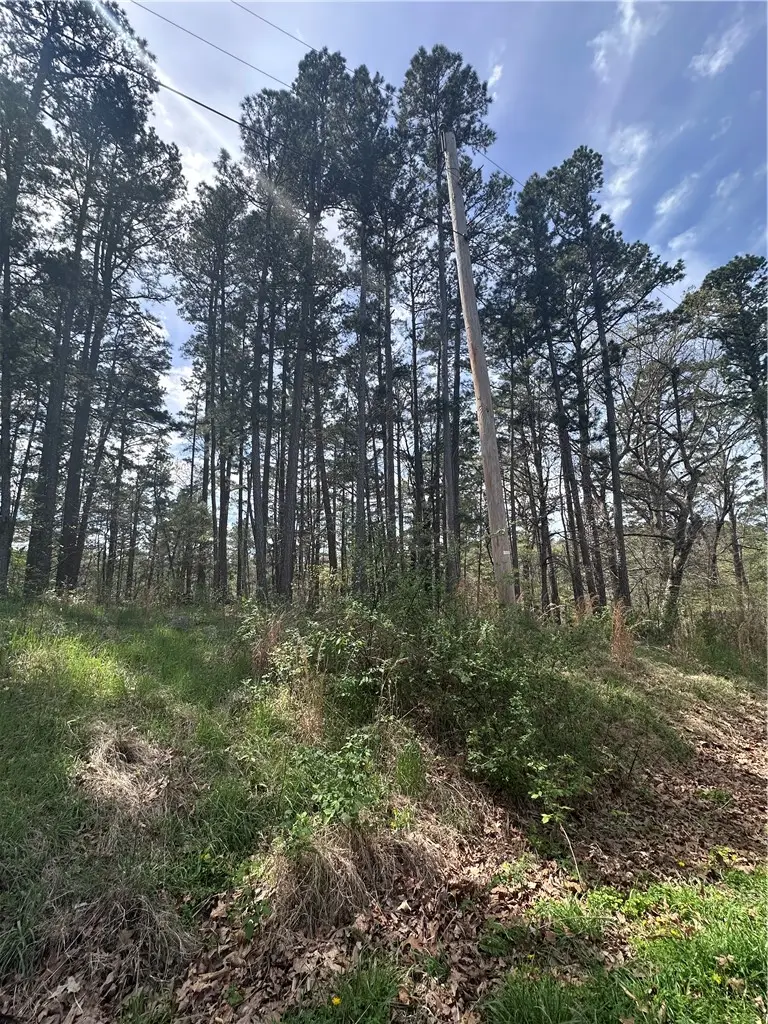 TBD Hallock Drive, Bella Vista, AR 72714 - #3
