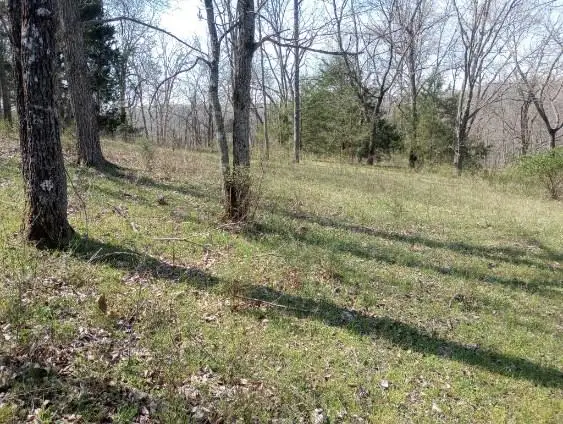 975-00026-001 Washington Street, Harrison, AR 72601 - #2