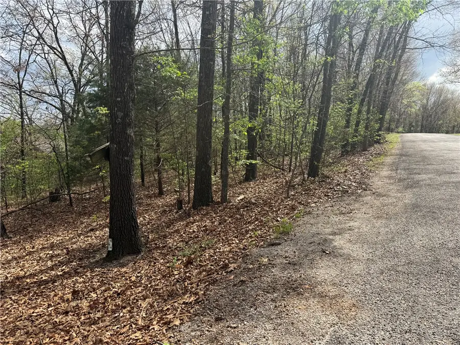 Entry Road, Ridgedale, MO 65739 - #2