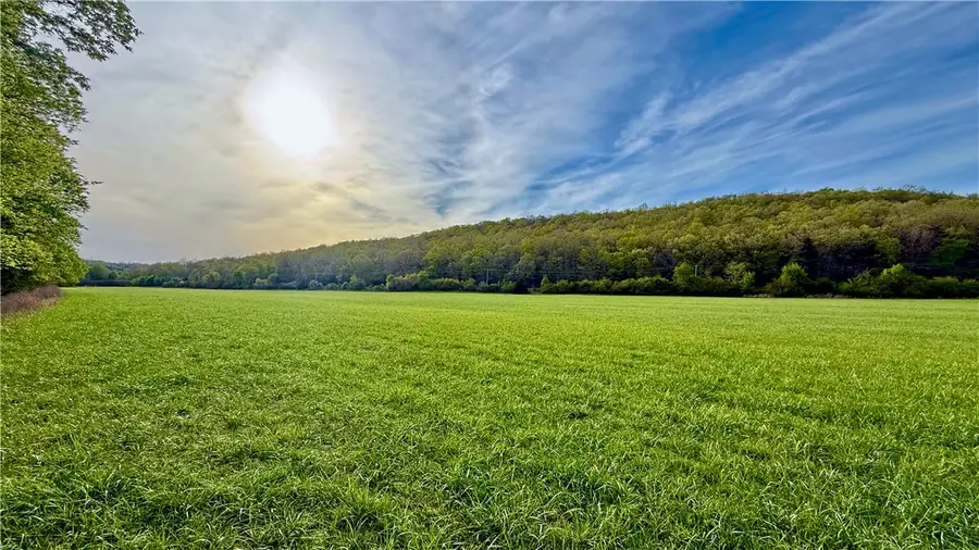 1.5 Acres, Denton Ferry Road, Cotter, AR 72626 - #3