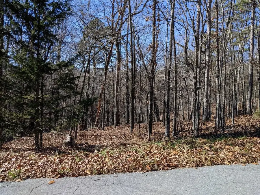 Lot 4 Radcliffe Drive, Bella Vista, AR 72714 - #3