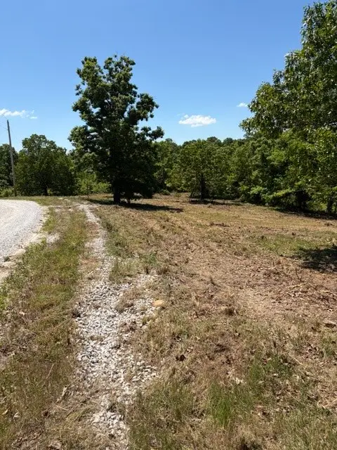 14 Oriole Lane, Noel, MO 64854 - #3