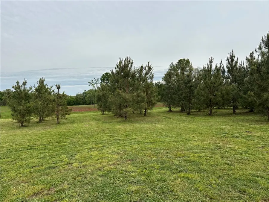 Mc 7055, Flippin, AR 72634 - #3