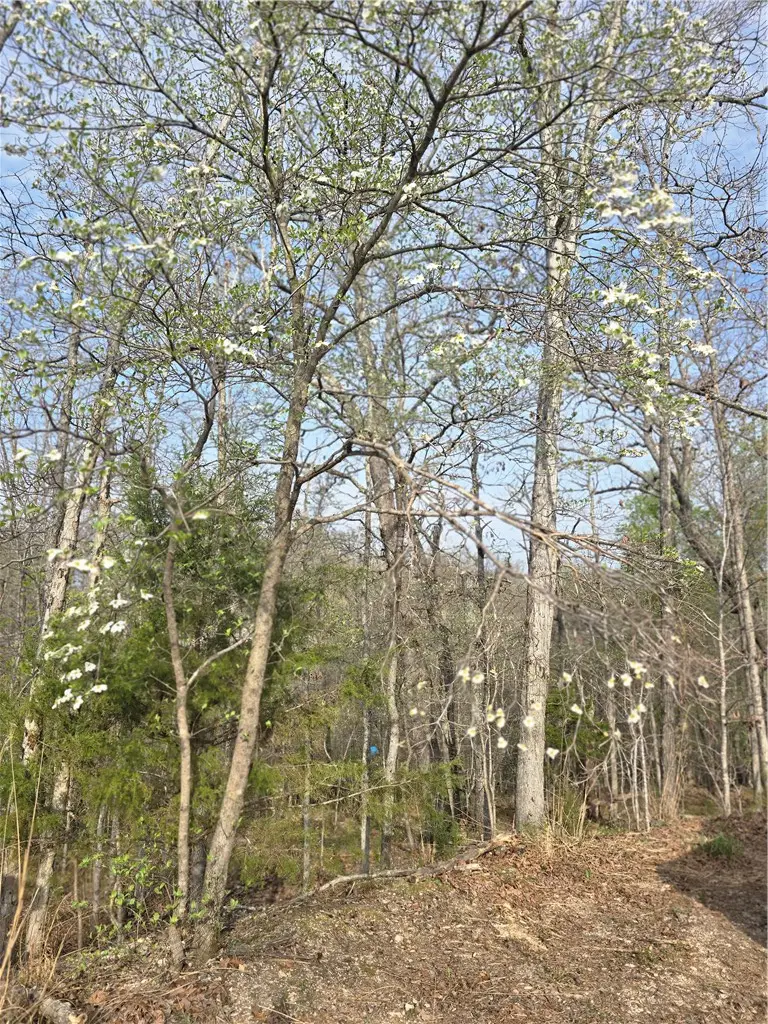 TBD Selborne & Havant Lane, Bella Vista, AR 72714 - #2