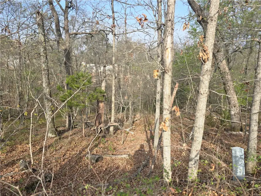 TBD Selborne & Havant Lane, Bella Vista, AR 72714 - #3