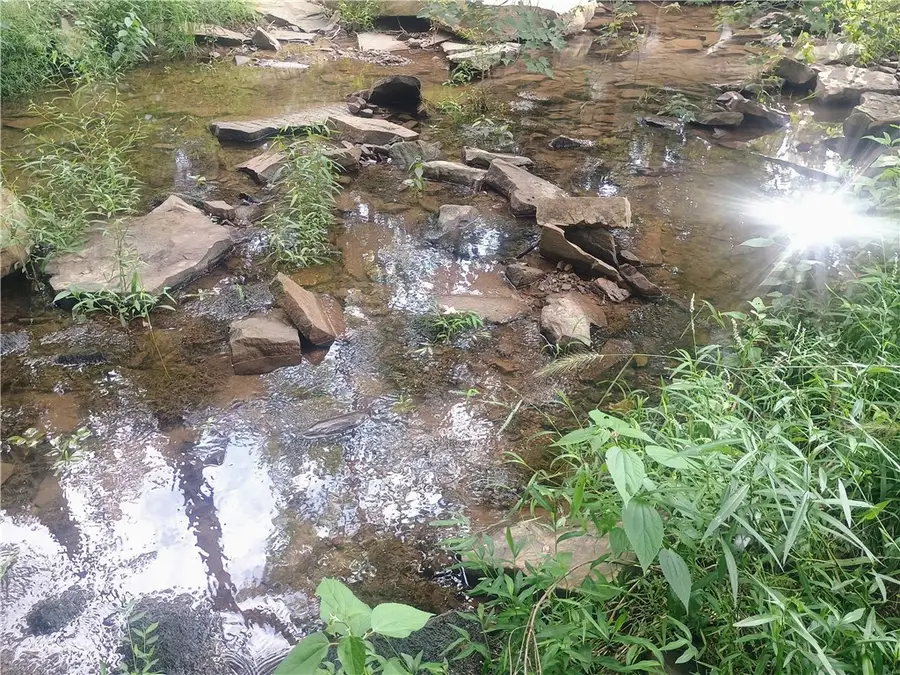 27B Shelby Lane, Cecil, AR 72930 - #3