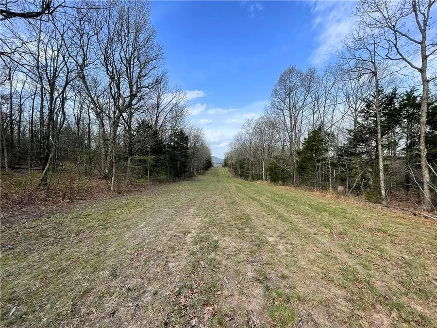 320 Acres Cr 921, Alpena, AR 72611 - #3