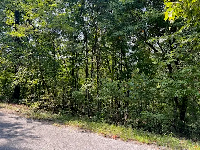 89 Sunrise Avenue, Holiday Island, AR 72631 - #2