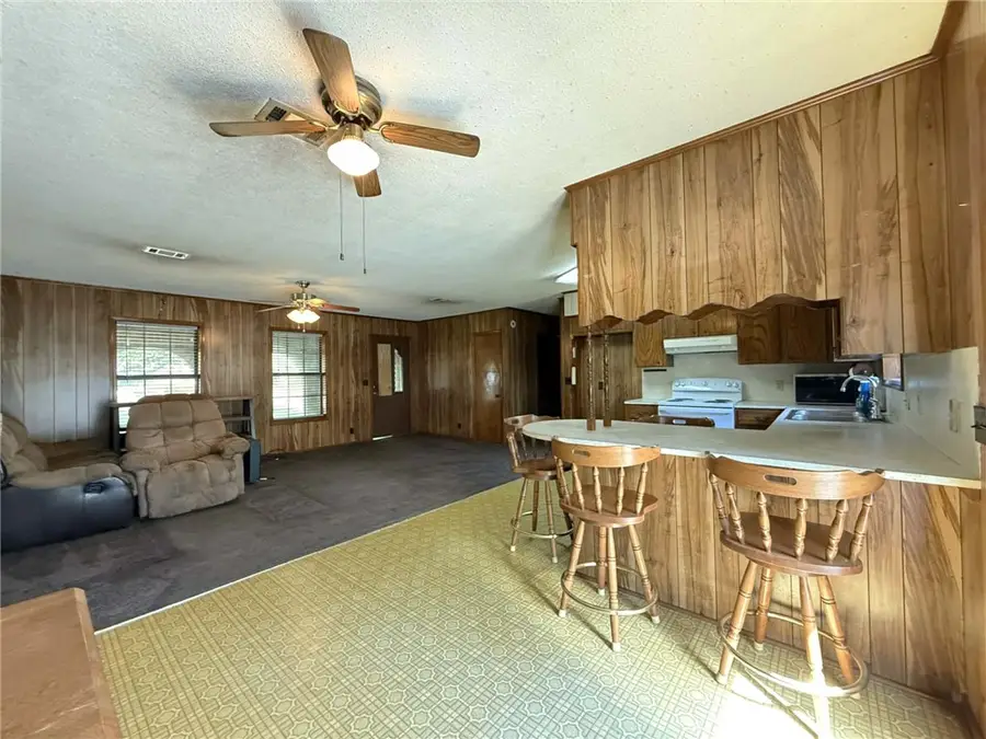 204 NW Avenue 10, Atkins, AR 72823 - #3