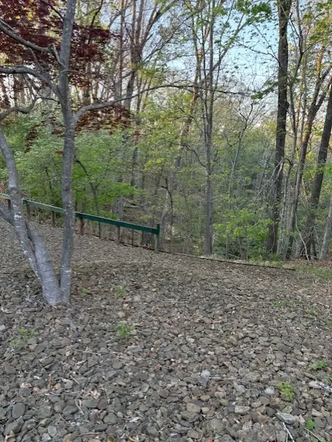 54 W Elvendon Drive, Bella Vista, AR 72715 - #1