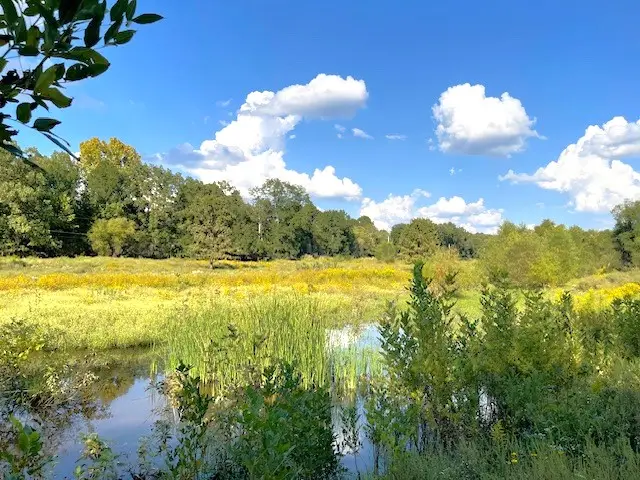 1250 Elder Branch, Hackett, AR 72937 - #1