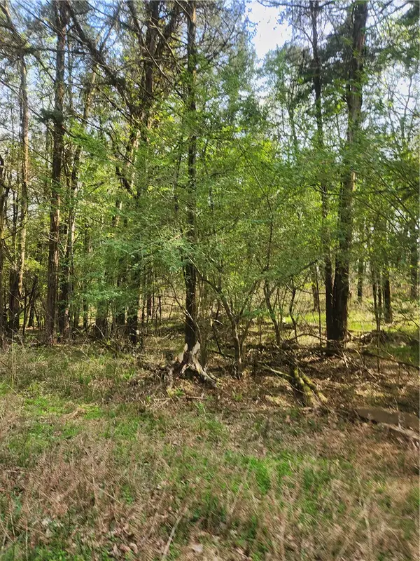 Lakeview, Ozark, AR 72847