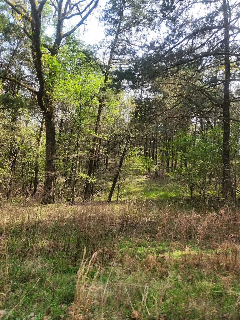 Lakeview, White Oak, AR 72847 - #3