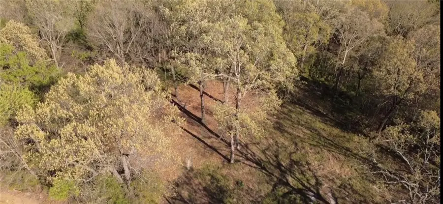 367 County Road 621, Green Forest, AR 72638 - #3