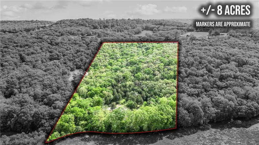 19671 Conestoga Road, Elkins, AR 72727 - #2