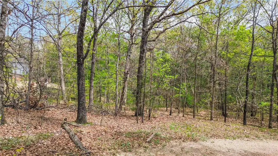 Lot 20 Embleton Lane, Bella Vista, AR 72714 - #2
