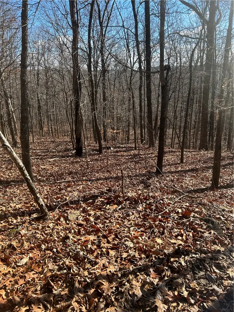 Madison 3605, Kingston, AR 72742 - #2