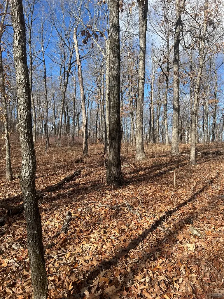 Madison 3605, Kingston, AR 72742 - #3