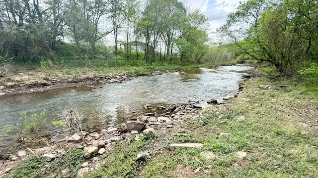 14731 Bush Road, Lincoln, AR 72744 - #2