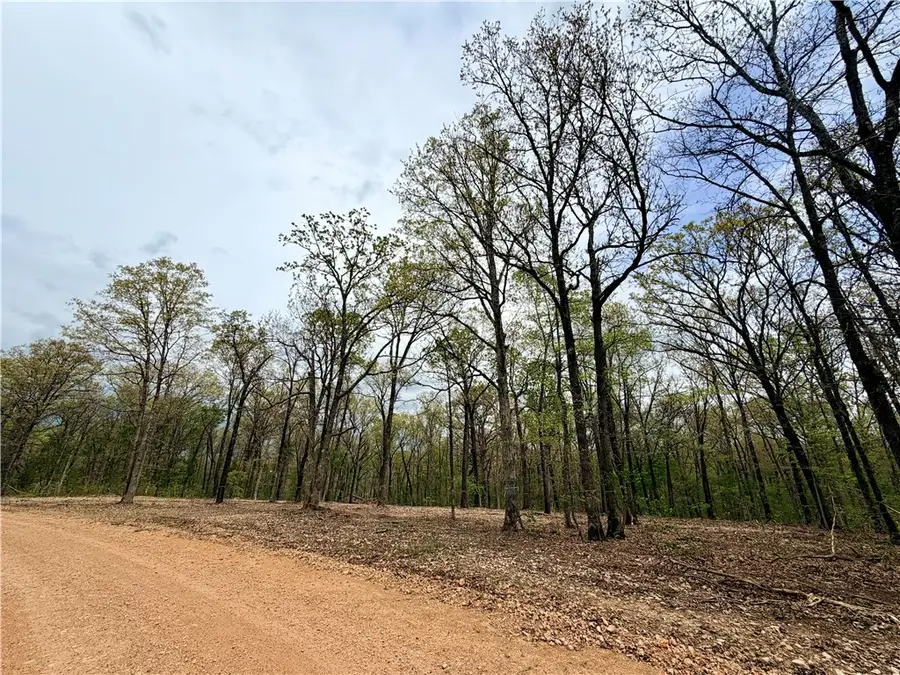 Lot 16 Upland Way, Gravette, AR 72736 - #3