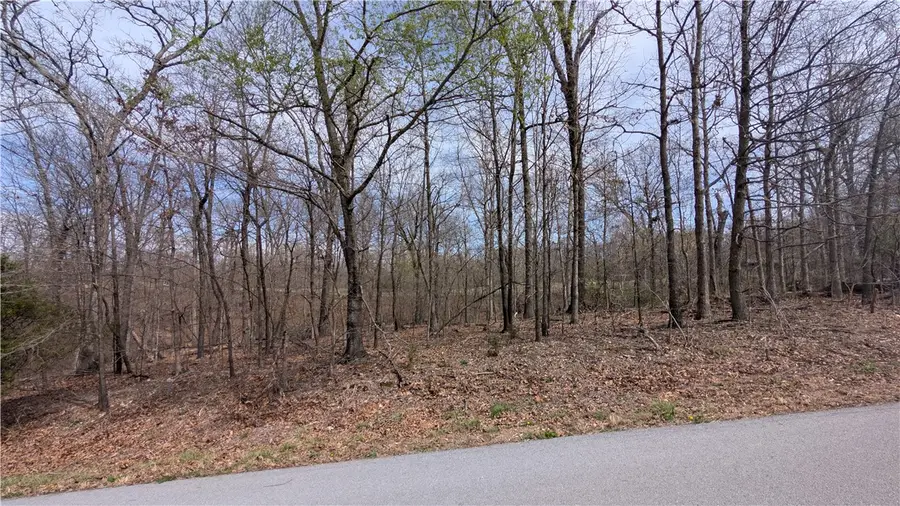 16-39891-000 Kirkpatrick Lane, Bella Vista, AR 72715 - #3