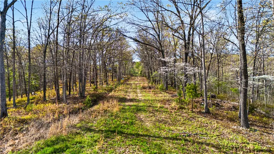 Appaloosa Drive, Rogers, AR 72756 - #3