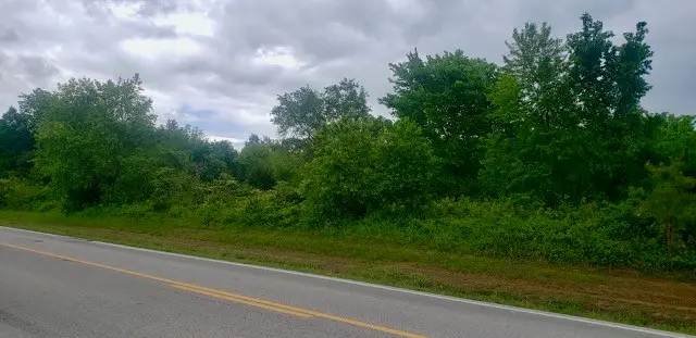 N N Lincoln Street, Siloam Springs, AR 72761 - #2