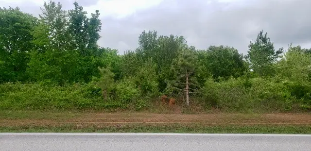 N N Lincoln Street, Siloam Springs, AR 72761 - #3