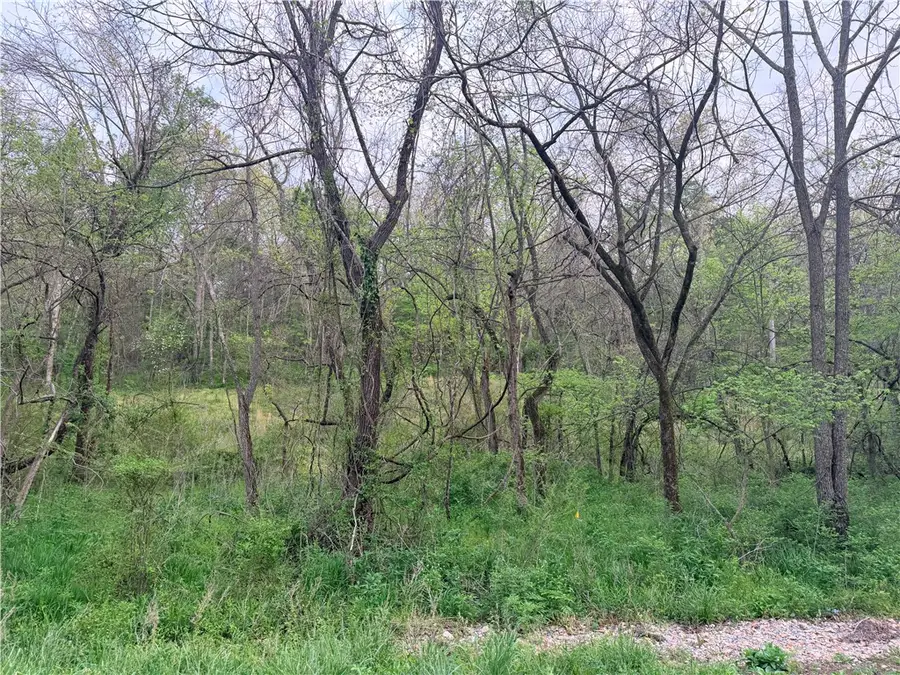 Keck Road, Siloam Springs, AR 72761 - #3