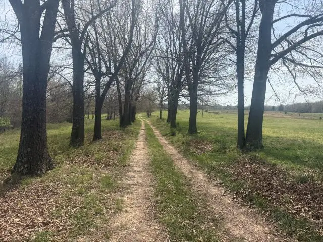 245 Hay Meadow Lane, Yellville, AR 72687 - #2