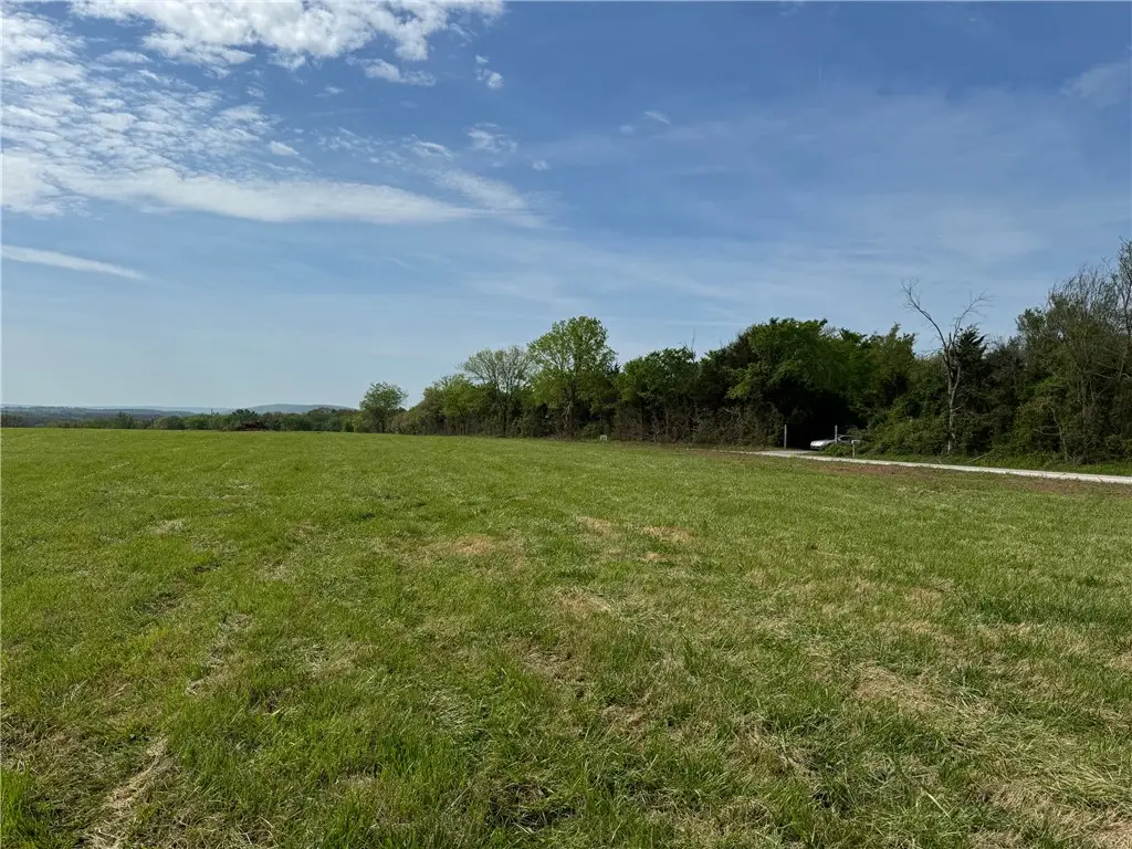 Tract B Old Cincinnati Road, Lincoln, AR 72744 - #1