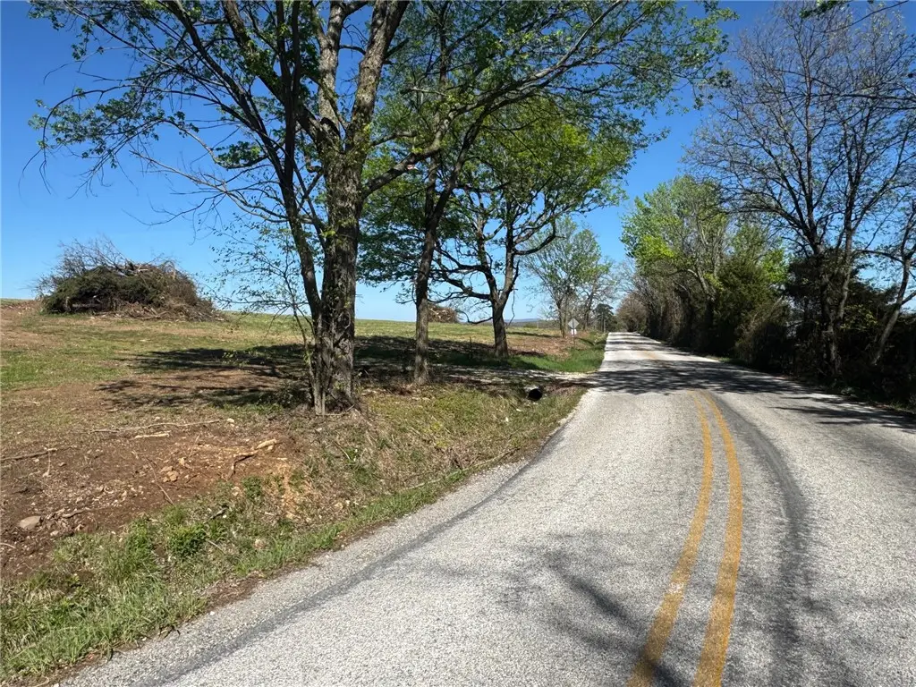 Tract F Old Cincinnati Road, Lincoln, AR 72744 - #1