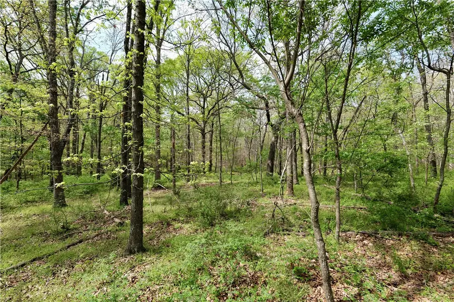 Lot 23CC Hummingbird Road, Gravette, AR 72736 - #3