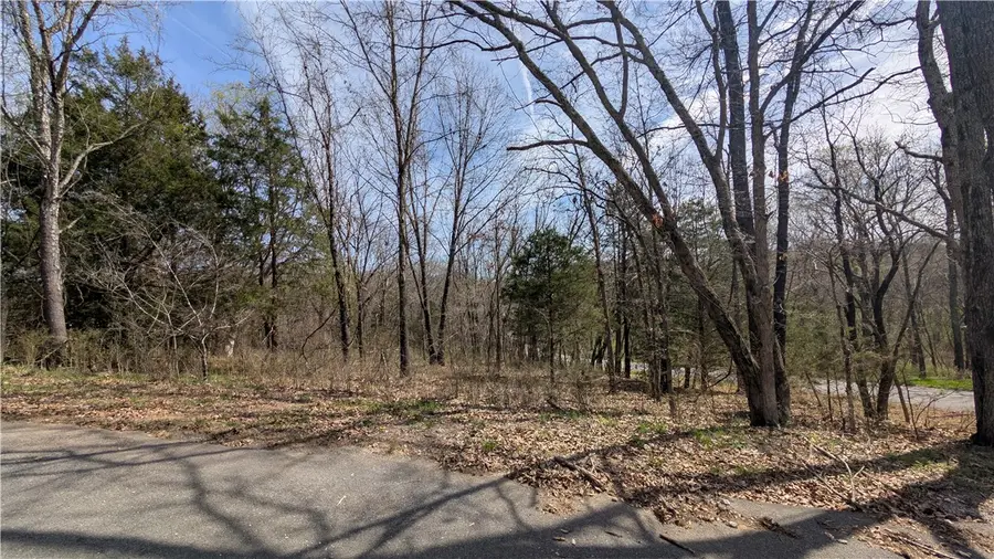 Lot 40 Waveney Lane, Bella Vista, AR 72715 - #2