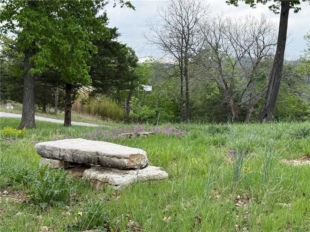 26 Rocky Top, Holiday Island, AR 72631 - #1